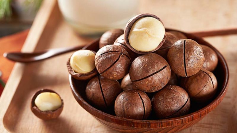 Pourquoi la noix de macadamia au chocolat est-elle bonne et comment la manger correctement