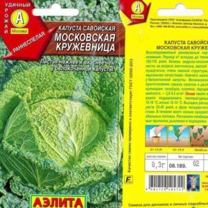 Description, culture, variétés populaires de chou frisé