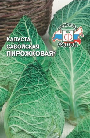 Description, culture, variétés populaires de chou frisé