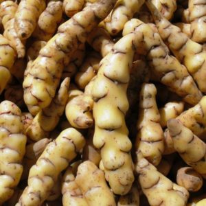 Qu'est-ce qu'une pomme de terre et à quelle famille elle appartient, une description complète avec une photo