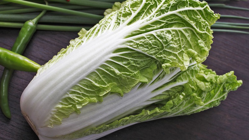 Variétés et types de choux avec photos et descriptions