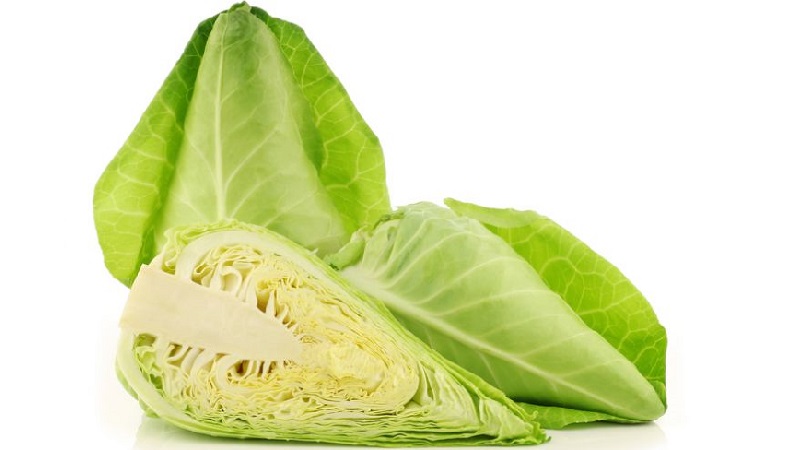 Variétés et types de choux avec photos et descriptions