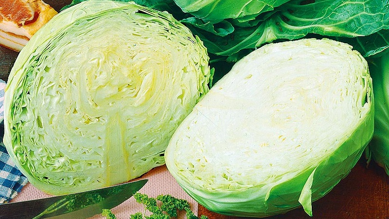 Variétés et types de choux avec photos et descriptions