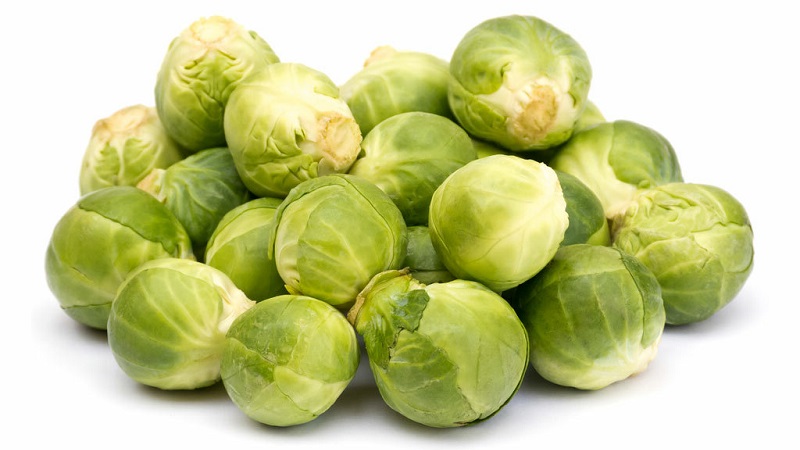 Variétés et types de choux avec photos et descriptions