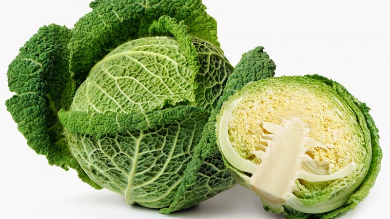 Variétés et types de choux avec photos et descriptions