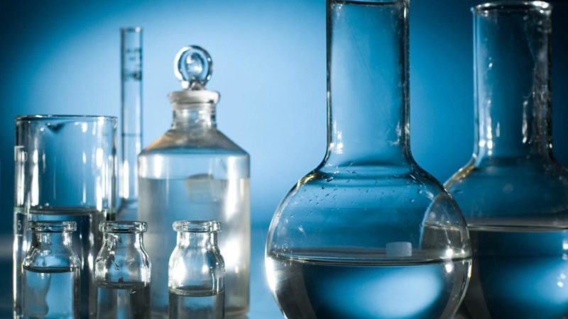 Les types de gruau de blé les plus populaires avec photos et noms