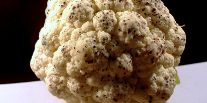 Maladies et ravageurs du chou-fleur et méthodes pour y faire face