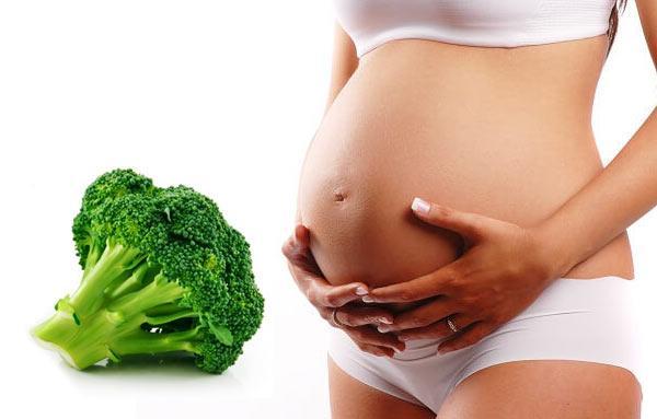 Est-il possible de manger du brocoli pendant la grossesse, sous quelle forme et quantité