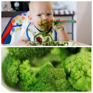 Symptômes et traitement de l'allergie au brocoli chez les bébés