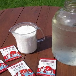 L'alimentation du chou est-elle nécessaire pour attacher les têtes