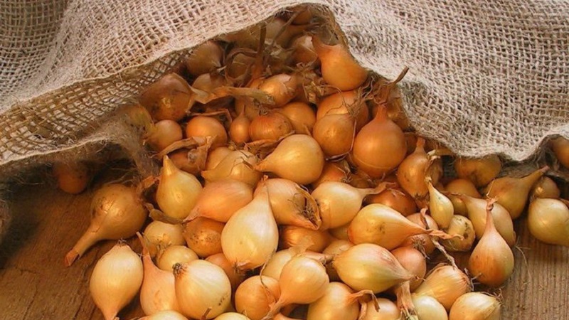 Et s'il y a une flèche sur l'arc et pourquoi cela peut arriver