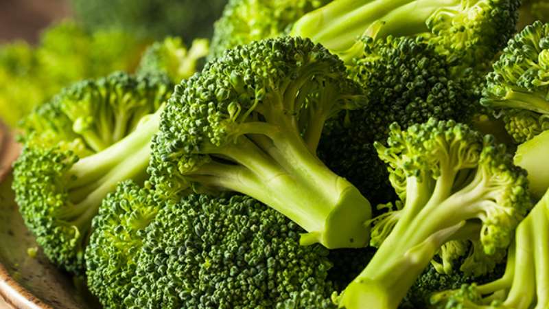 Composition, avantages et inconvénients du chou brocoli