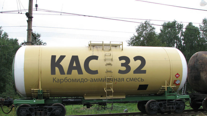 Alimentation correcte du blé d'hiver au printemps: les engrais et leurs taux d'application