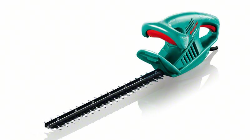 Instructions étape par étape sur la façon de tailler les raisins de Corinthe au printemps pour avoir une bonne récolte