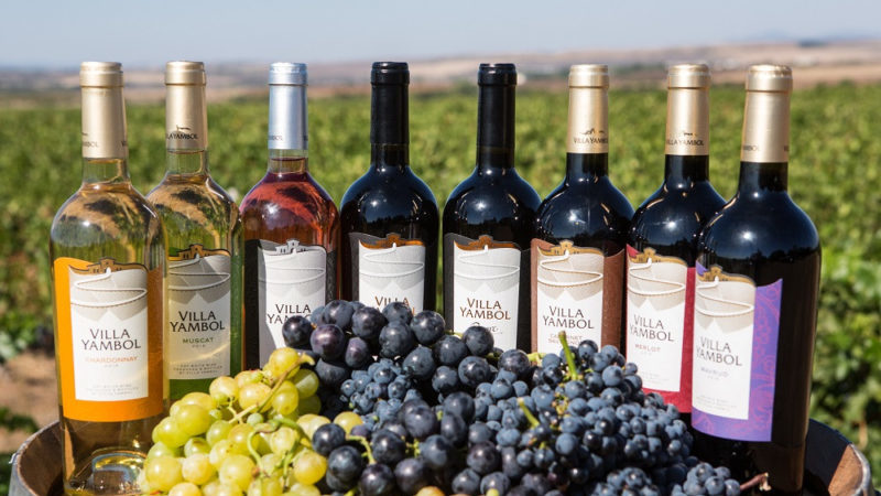 Les meilleures variétés de raisins découverts pour la région de Moscou