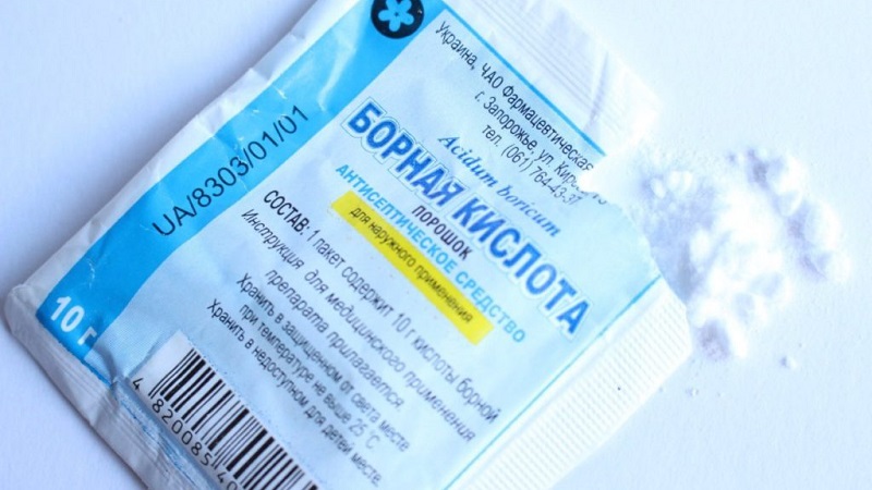 Mesures de lutte contre l'oïdium sur les raisins de Corinthe, si les baies sont déjà apparues au printemps