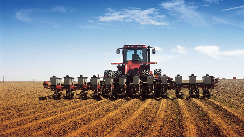 Quel est le taux de semis de pommes de terre par hectare en tonnes et comment le calculer correctement