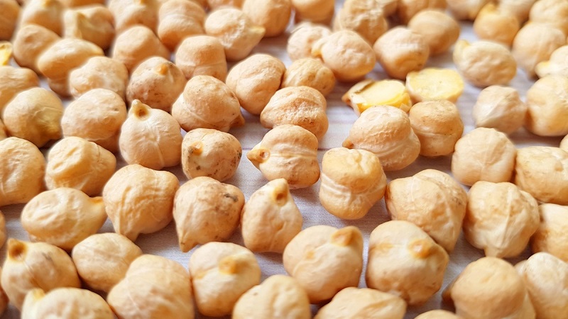 Description et caractéristiques des pois chiches