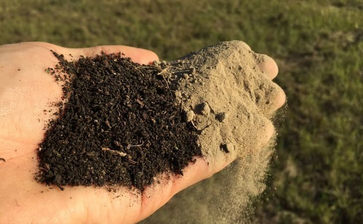 Que faire si les concombres ne poussent pas: les meilleures recettes de vinaigrette