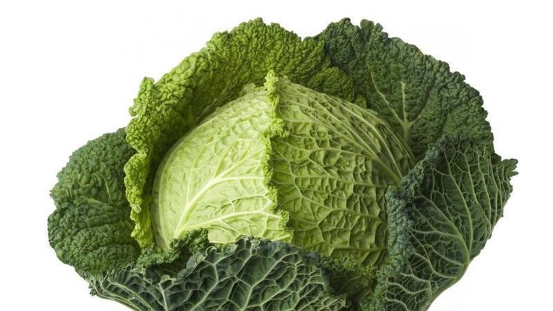 Avantages et inconvénients, caractéristiques de l'utilisation du chou frisé