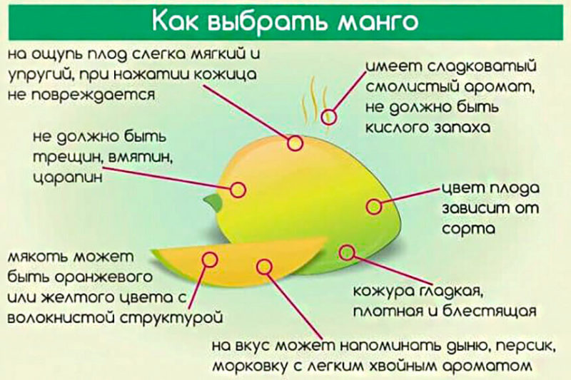 Quels sont les méfaits et les avantages de la mangue pour le corps d'une femme