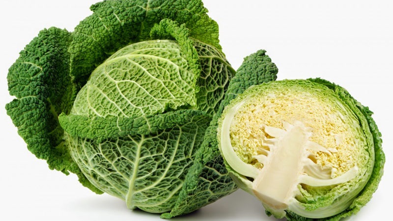 Semer et cultiver du chou frisé