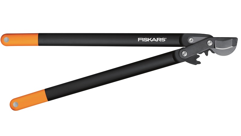 Instructions étape par étape sur la façon de tailler les raisins de Corinthe au printemps pour avoir une bonne récolte