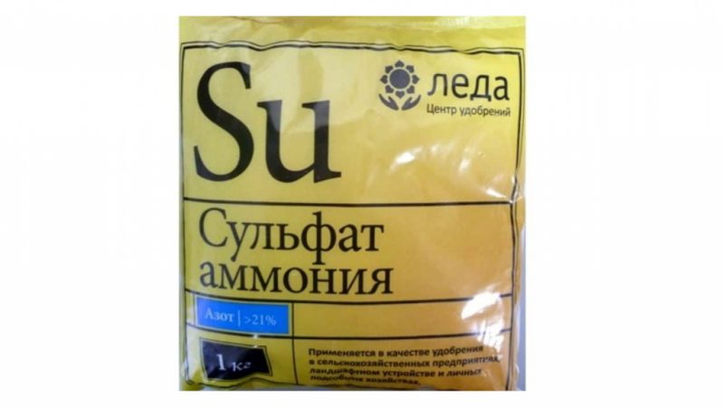 Alimentation correcte du blé d'hiver au printemps: les engrais et leurs taux d'application