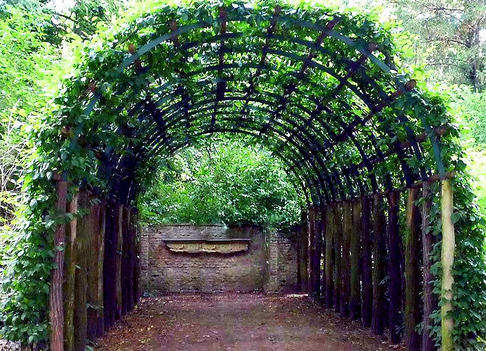 Quelles propriétés devraient avoir les cépages non couvrants et lesquels d'entre eux sont considérés comme les meilleurs