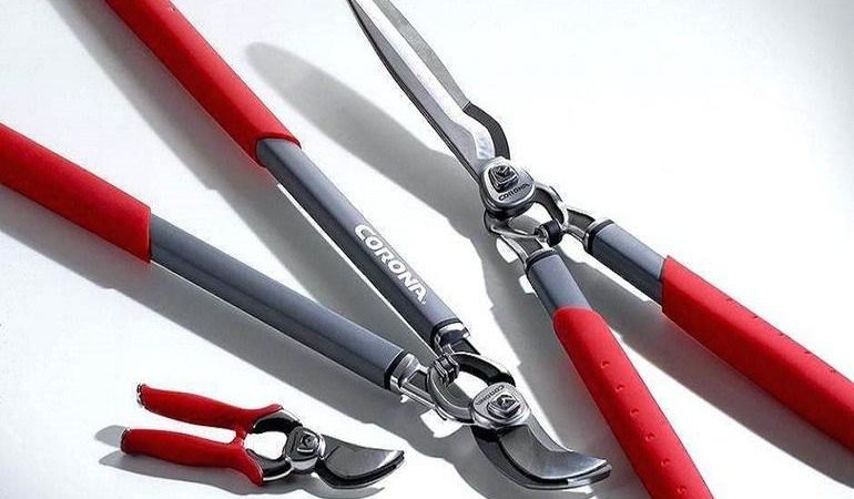 Comment tailler les groseilles au printemps pour une bonne récolte