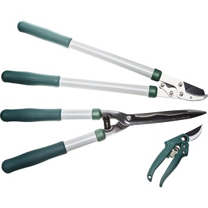 Un guide étape par étape pour les jardiniers débutants: comment tailler correctement les abricots au printemps