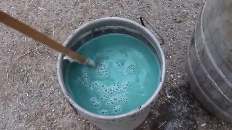 Comment traiter correctement les raisins avec du sulfate de cuivre au printemps et pourquoi est-il nécessaire