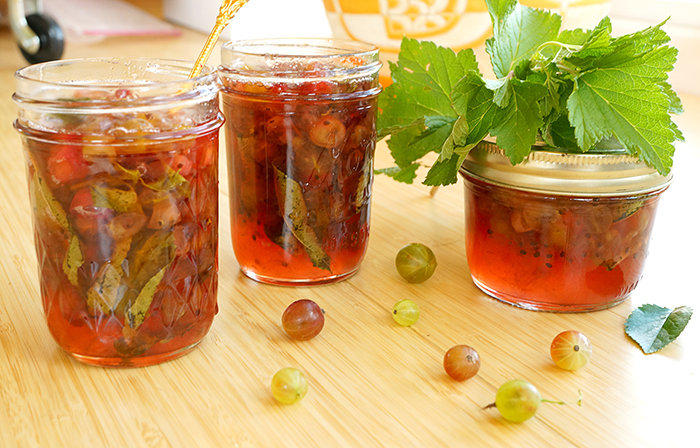 Variétés et caractéristiques de la culture de groseilles à maquereau sans épines