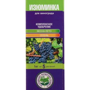 Comment arroser et nourrir les raisins au printemps: instructions pour les débutants