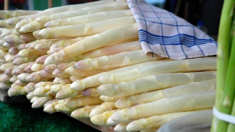 Qu'est-ce que l'asperge blanche et pourquoi est-elle de cette couleur