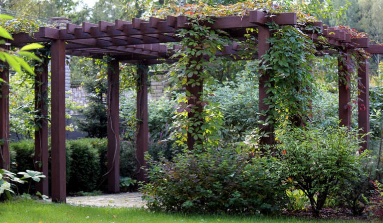 Comment faire une pergola à raisins de vos propres mains