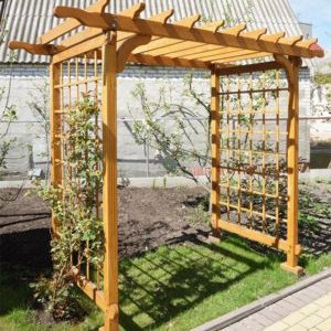 Comment faire une pergola à raisins de vos propres mains
