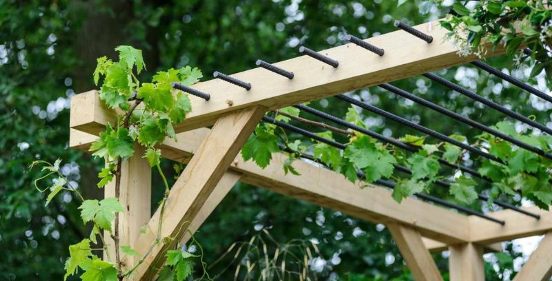 Comment faire une pergola à raisins de vos propres mains