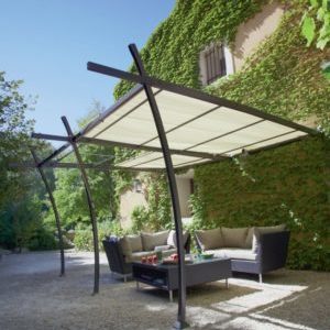 Comment faire une pergola à raisins de vos propres mains