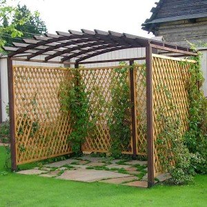 Comment faire une pergola à raisins de vos propres mains