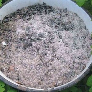 Comment nourrir les framboises en été: instructions