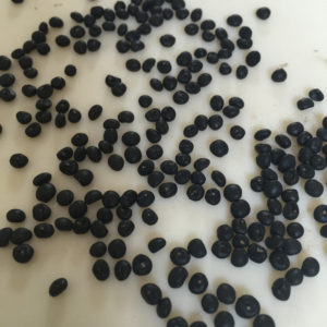 Qu'est-ce que l'asperge blanche et pourquoi est-elle de cette couleur