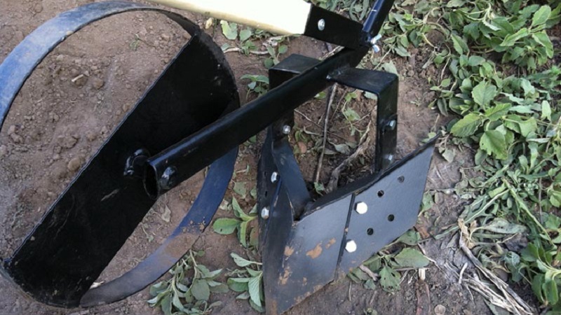 Technique de buttage des pommes de terre avec un tracteur à conducteur marchant