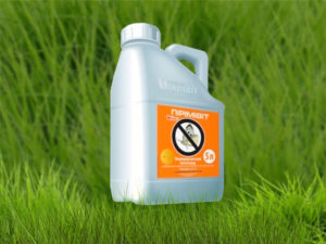 Pourquoi la variété de prune de cerise July Rose est-elle bonne et pourquoi elle vaut la peine d'être cultivée