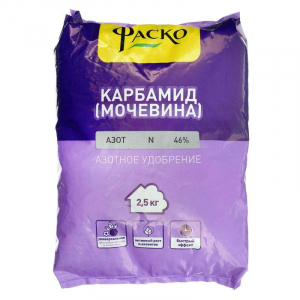 Comment et comment nourrir les raisins de Corinthe après la récolte en juillet