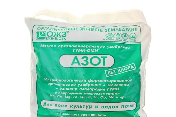 Combien et à quelle fréquence arroser l'abricot en été: instructions détaillées
