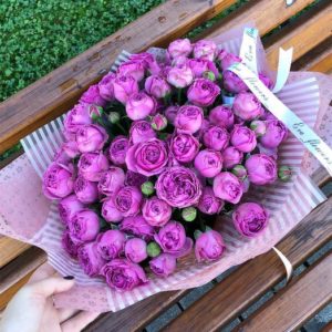 Comment faire pousser des roses violettes et quelles variétés choisir