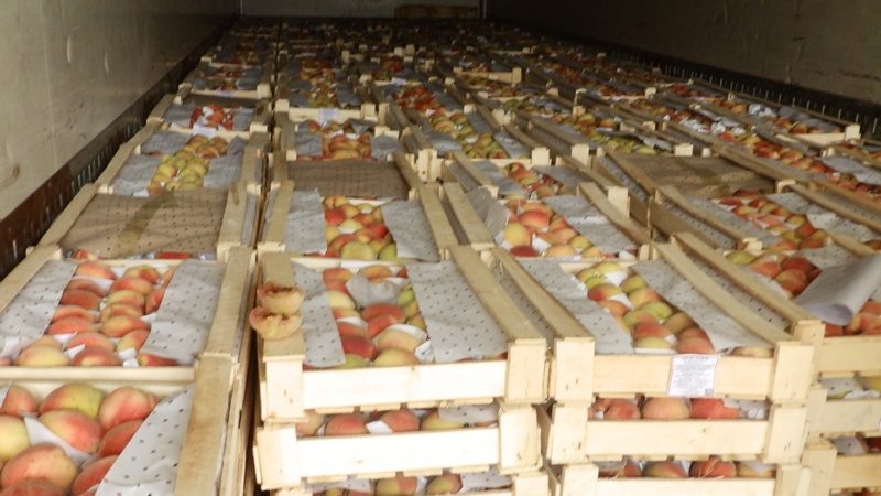 Comment faire mûrir les pêches vertes à la maison