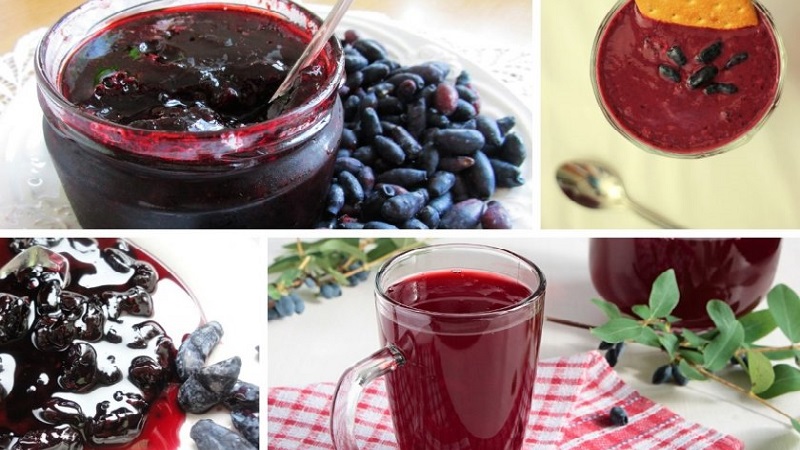 Quand récolter le chèvrefeuille, comment le trier et le traiter au mieux