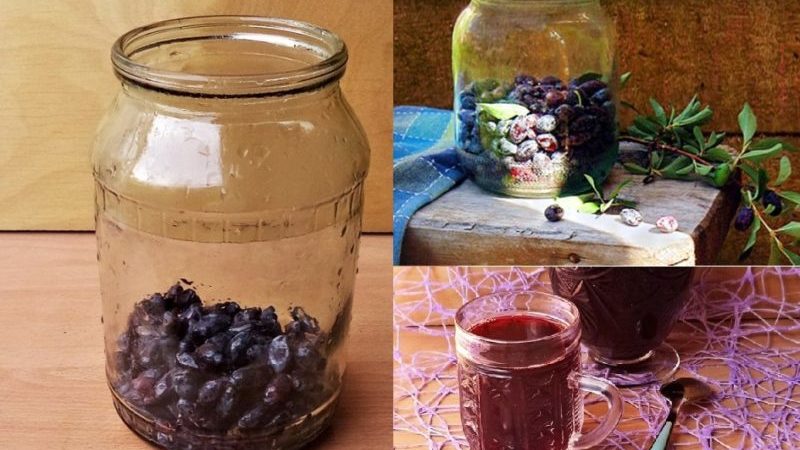 Caractéristiques de l'entretien du chèvrefeuille après la récolte en juillet